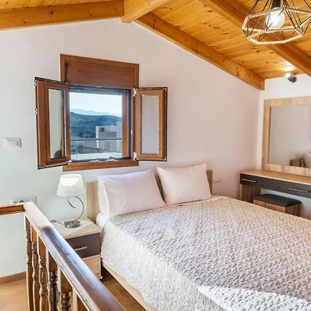 Daire Platania's Paradise